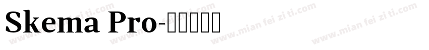 Skema Pro字体转换